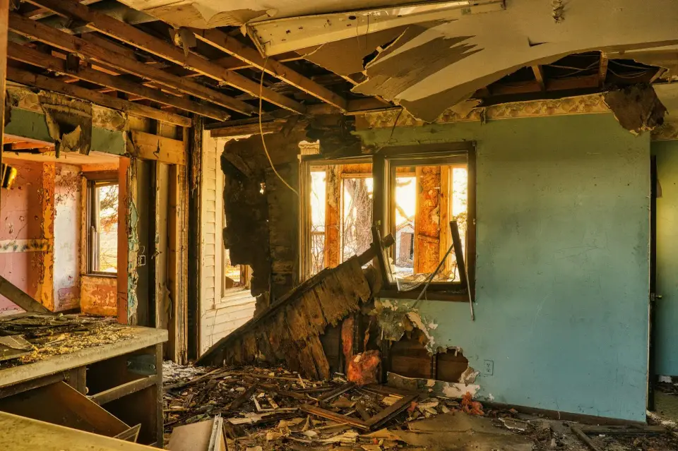 Hanford's Trusted Mold Abatement Specialists — Hanford, CA